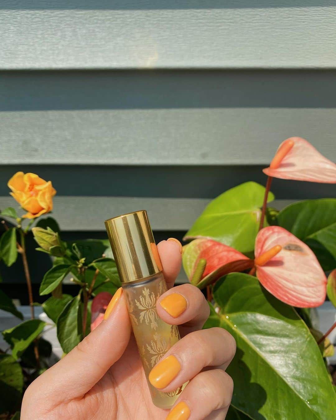 森山菜々のインスタグラム：「. 🍊 🥭 🧡 お客さんにもその色イイ!って褒めてもらえた orange nail ✨  最近ずっとワンカラーね🎨 短時間でおわるもん😉⏳笑  @malieorganics は、ハワイを思い出すから 常に持ち歩いてる🌿 ボディクリームも家のディフューザーも ここのブランドのもの🥥🤎 hawaii行きたいよ〜〜🥵  #malieorganics #マリエオーガニクス」