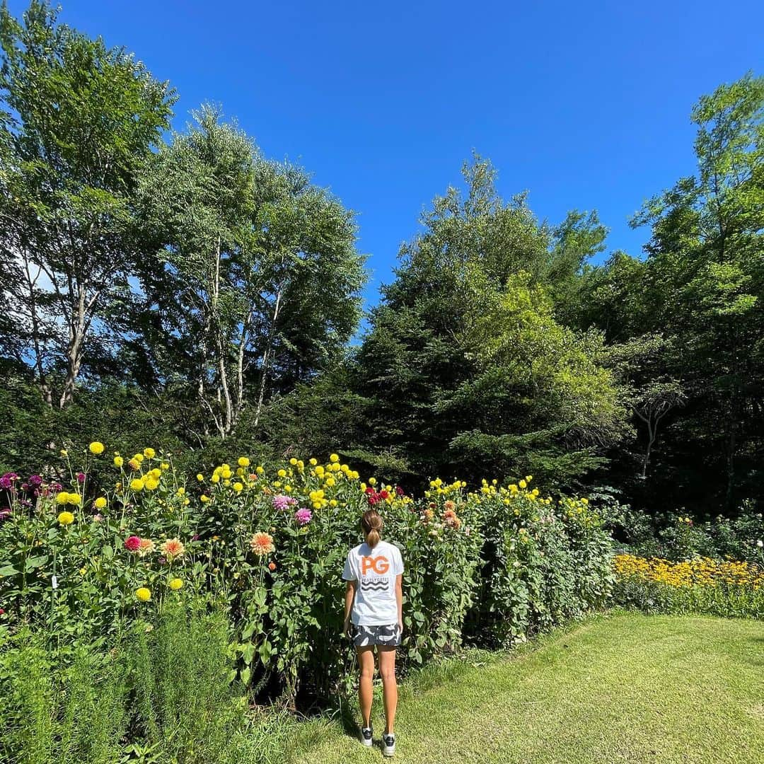 木戸愛のインスタグラム：「happy time🌲🌼🕊 #ダリア」