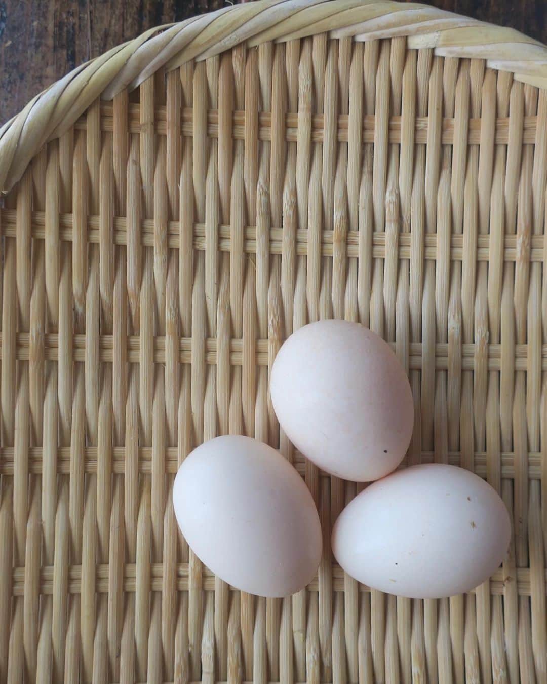 板井麻衣子さんのインスタグラム写真 - (板井麻衣子Instagram)「. ありがたいお裾分け🥚 #烏骨鶏の卵 . 娘っ子に烏骨鶏の卵の貴重さと栄養価の高さを説明しようとしたけど、「まぁつまり食べたらもっともっと可愛くなるよ❤️」でまとめるっていうwww😅雑！」8月10日 22時44分 - maikorophone