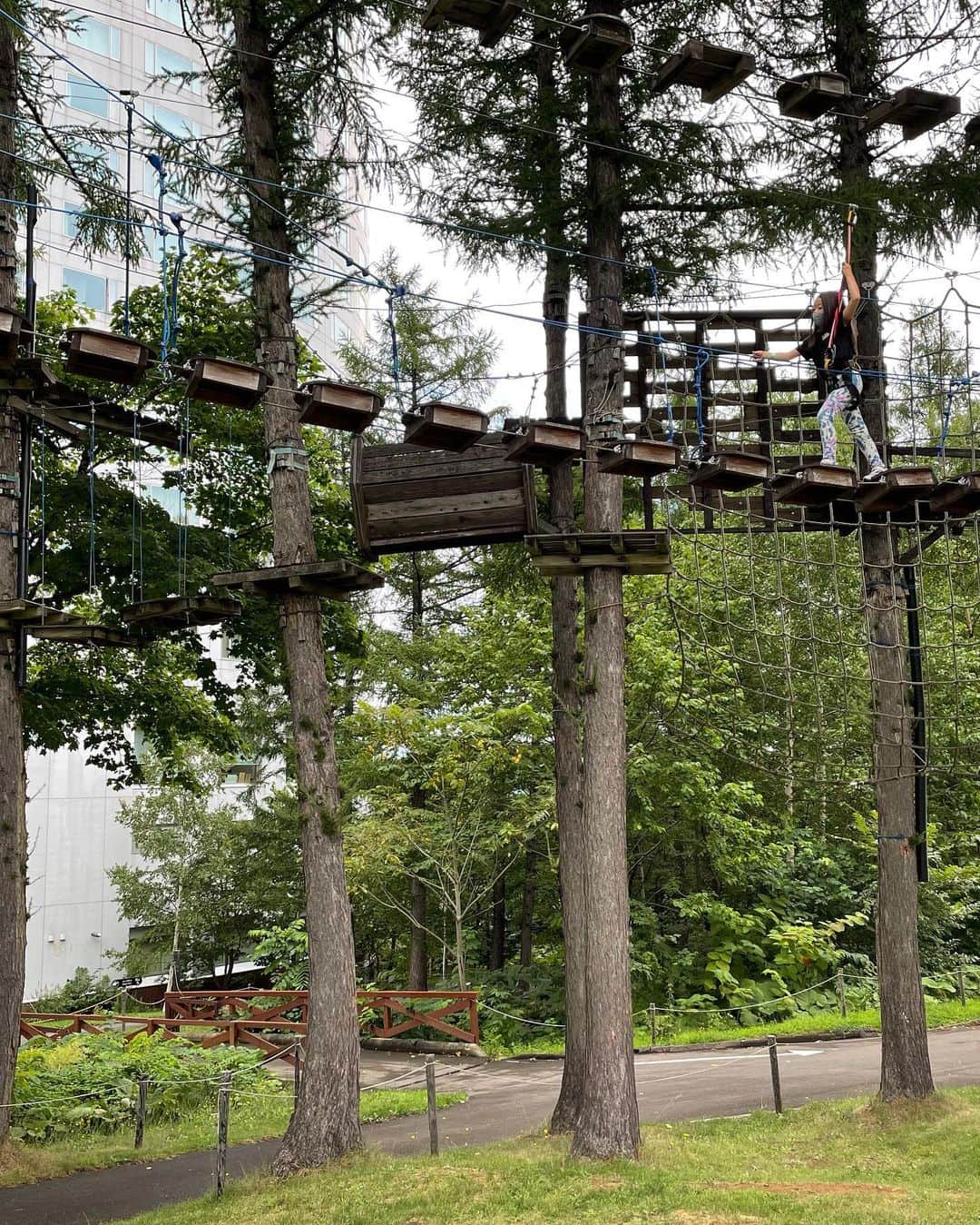 中岡由佳さんのインスタグラム写真 - (中岡由佳Instagram)「ツリートレッキング🌲🌲昨日は私も一緒に行きましたが高いところで揺れる吊り橋やロープを渡り歩くのがスリル満点‼️今日は7歳の娘は1人でチャレンジ👍140cm以上あればさらに凄いコースがあります。冒険心があふれて大人も子供も楽しめる💫💫 #pure #nisekovillage #hokkaido」8月25日 21時37分 - yuka_nakaoka