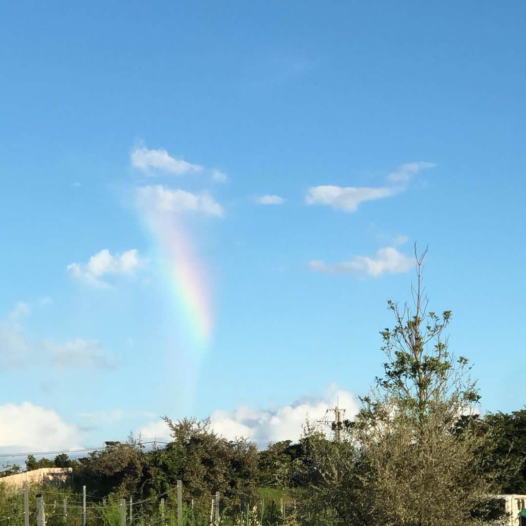 中野怜美さんのインスタグラム写真 - (中野怜美Instagram)「Magic exists. 🌈 #rainbow」8月11日 13時43分 - reminakano