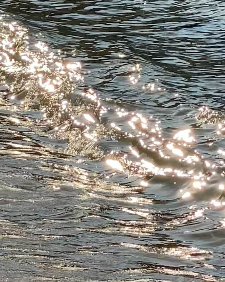 丸山クルミのインスタグラム：「✨✨🤍」