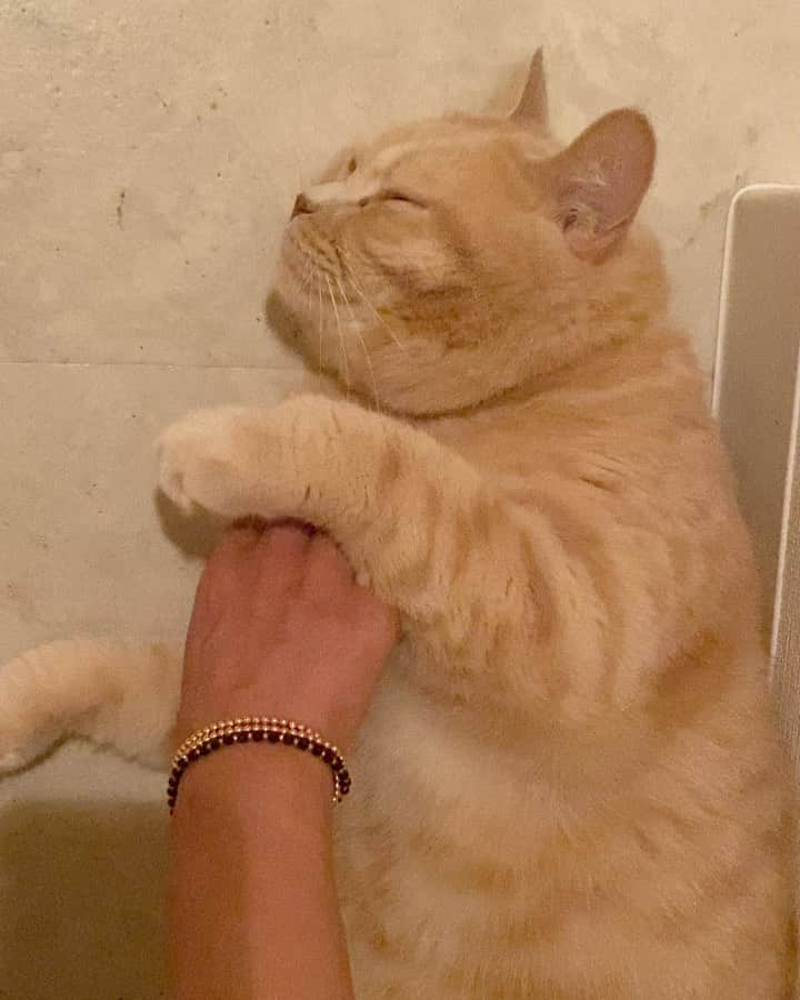 赤西涼のインスタグラム：「連続らいちゃん」