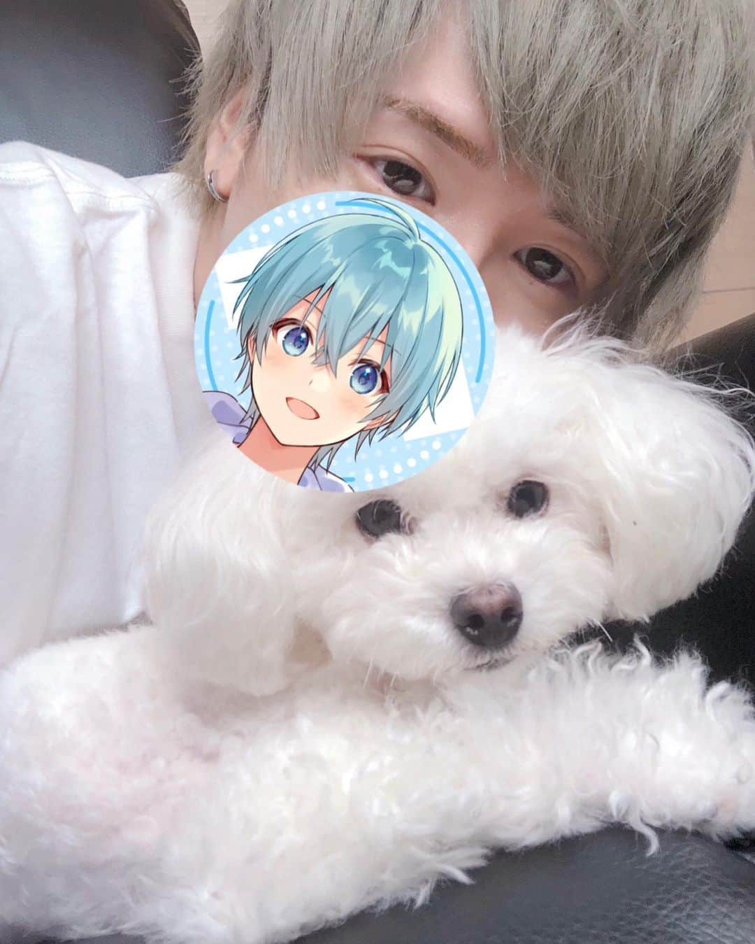 ころんさんのインスタグラム写真 - (ころんInstagram)「愛犬とパシャリ📸✨仲良し🐶💙✨」8月11日 16時37分 - colon56n