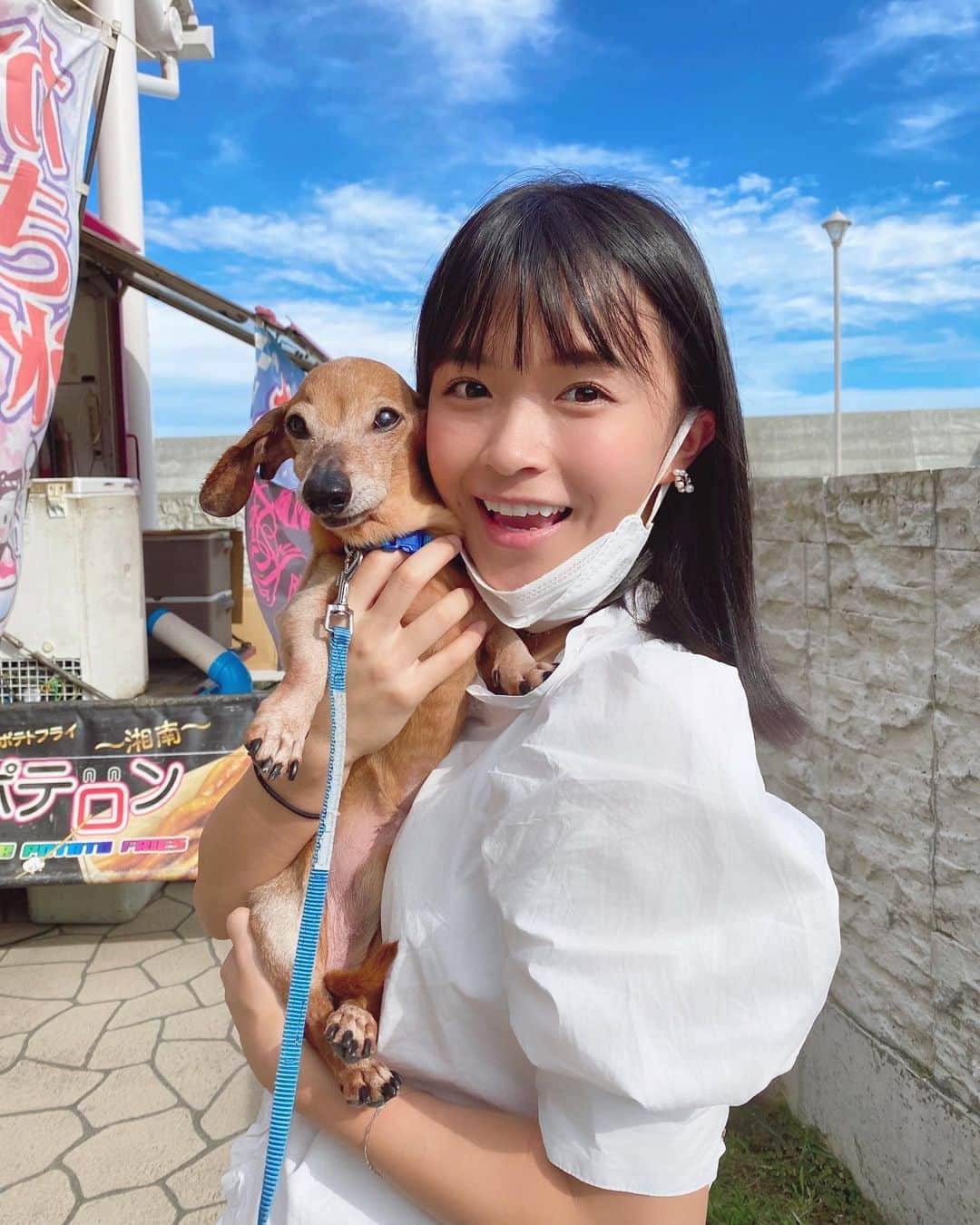 百川晴香さんのインスタグラム写真 - (百川晴香Instagram)「そらちゃん🐕💕💕💕 #ダックスフンド #スムース #かわいい #愛犬 #japanesegirl #cute #followｍe #dog」8月11日 17時20分 - momokawaharuka