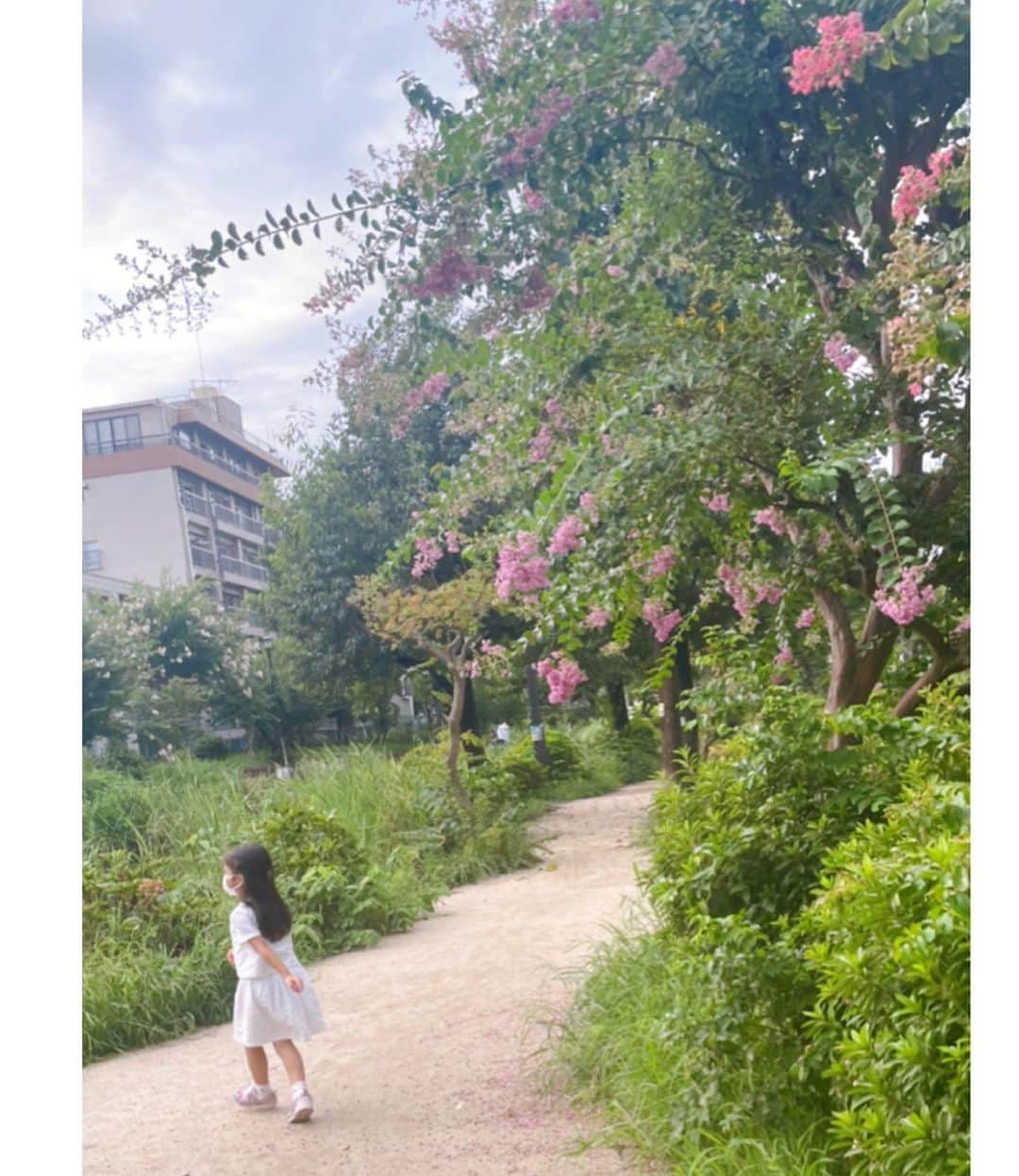 安めぐみさんのインスタグラム写真 - (安めぐみInstagram)「最近のネイルと、 テクテクお散歩写真🚶‍♀️  #ネイル #お散歩 #テクテク #暑くて大体夕方テクテクです🚶‍♀️笑」8月11日 23時45分 - yasu_megumi_official