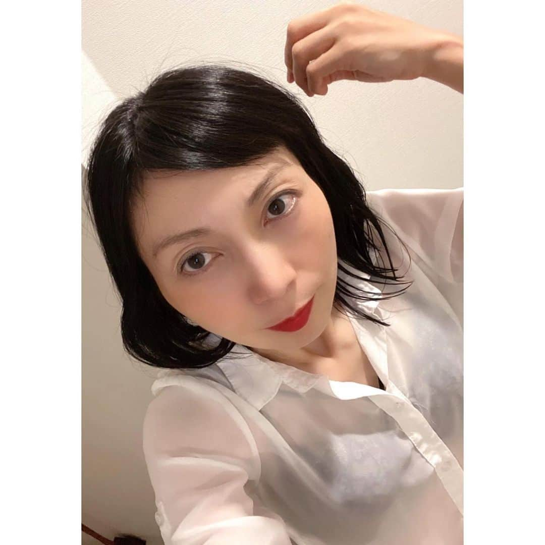 井川ちさと（新尾きり子）さんのインスタグラム写真 - (井川ちさと（新尾きり子）Instagram)「おやすみ」8月12日 1時14分 - ki_ri_ko_ni_i_o_