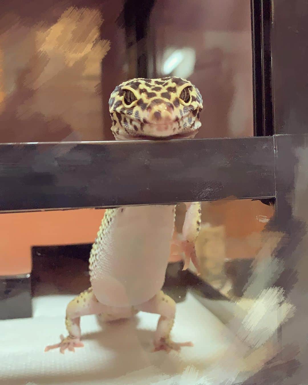 のインスタグラム：「ごはんまち🦗  #可愛すぎ罪逮捕」