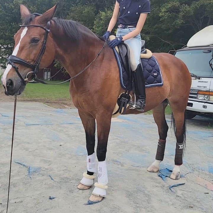 林伸伍のインスタグラム：「It's your turn🕺  #馬 #馬術 #馬場馬術 #horse #horseriding #horsesofinstagram #dressage」