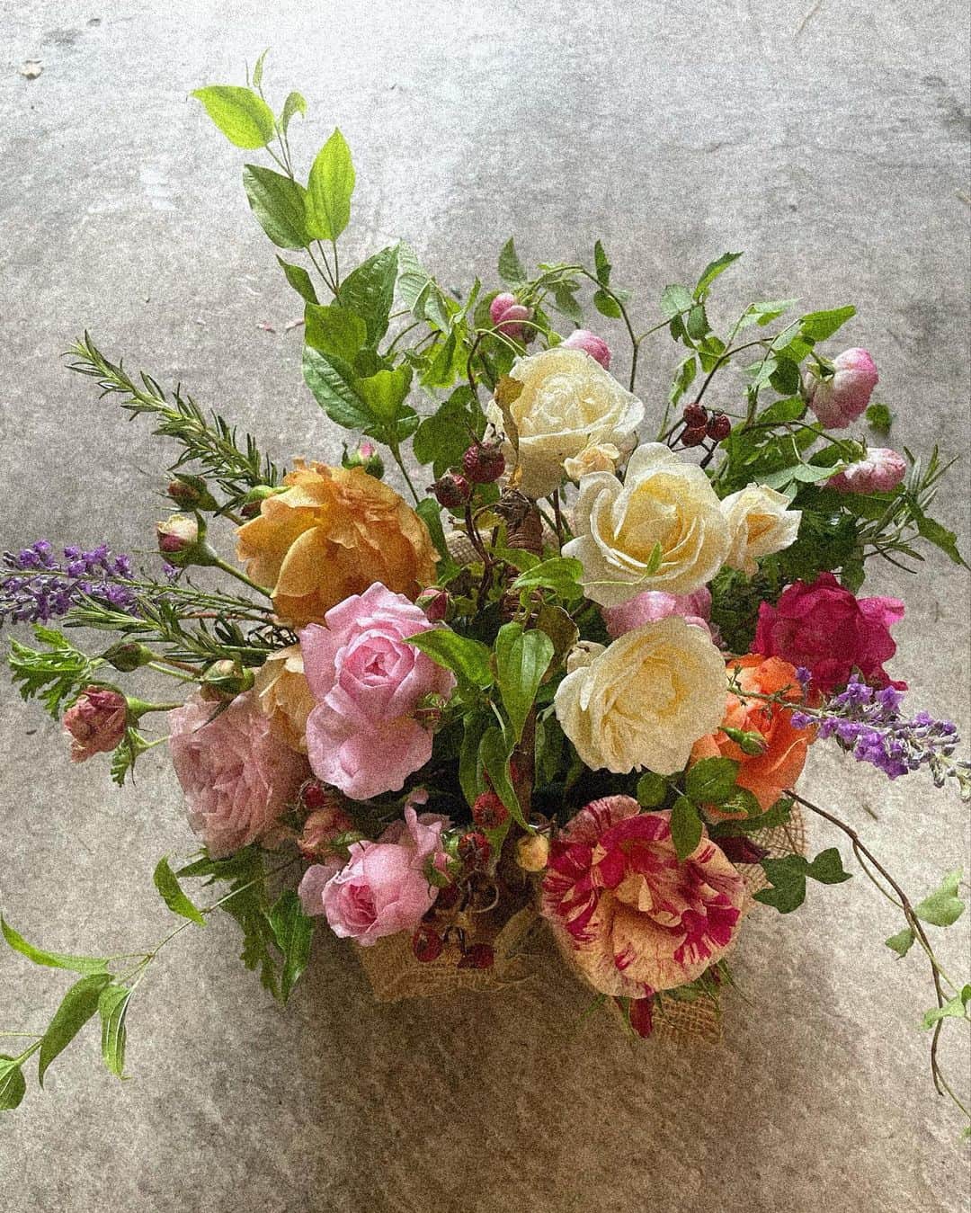 ステファニーのインスタグラム：「🌹💖💚💛💜🧡 先日 @nealsyard_jp のワイルドローズコレクション 新作発表会に軽井沢へ。 ニールズヤードのことはもちろん知っていて、 子供の頃からアロマオイルで馴染みもあったのですが、 なんと30年も続くサスティナブルなメーカーだったなんて。 全て自然由来、使ったブルーボトルはトレイなど 別の形として生まれ変わる。 そんな取り組みやナチュラルなローズの香りとパワーに うっとりな時間でした。 農薬を一切使わないニールズヤードの製品にピッタリな ayaさんが手がけたハンナフラガーデンのローズを 自分の手で摘み、生けて、落ちた花びらはおうちのお風呂に入れるという、なんと贅沢なローズ尽しの時間。 家でもオイルやスクラブなど改めて使ってみたけど、 だんだん大人になるにつれてローズの香りが好きに なったのはホルモンの関係なのかな？ 女性の方は特に、オススメです。 アフタヌーンティーも美味しくて幸せな時間でした！ @nealsyard_jp のみなさん、 @hannahula_garden さん　@kumi511976 さんありがとうございました♡。」