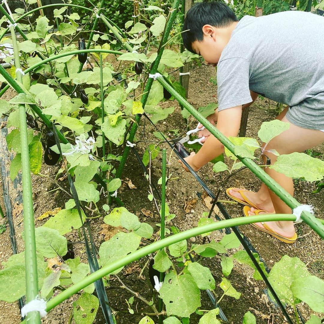 板谷由夏 さんのインスタグラム写真 - (板谷由夏 Instagram)「朝イチ、パンイチ野菜収穫男子」8月12日 18時50分 - yukaitaya