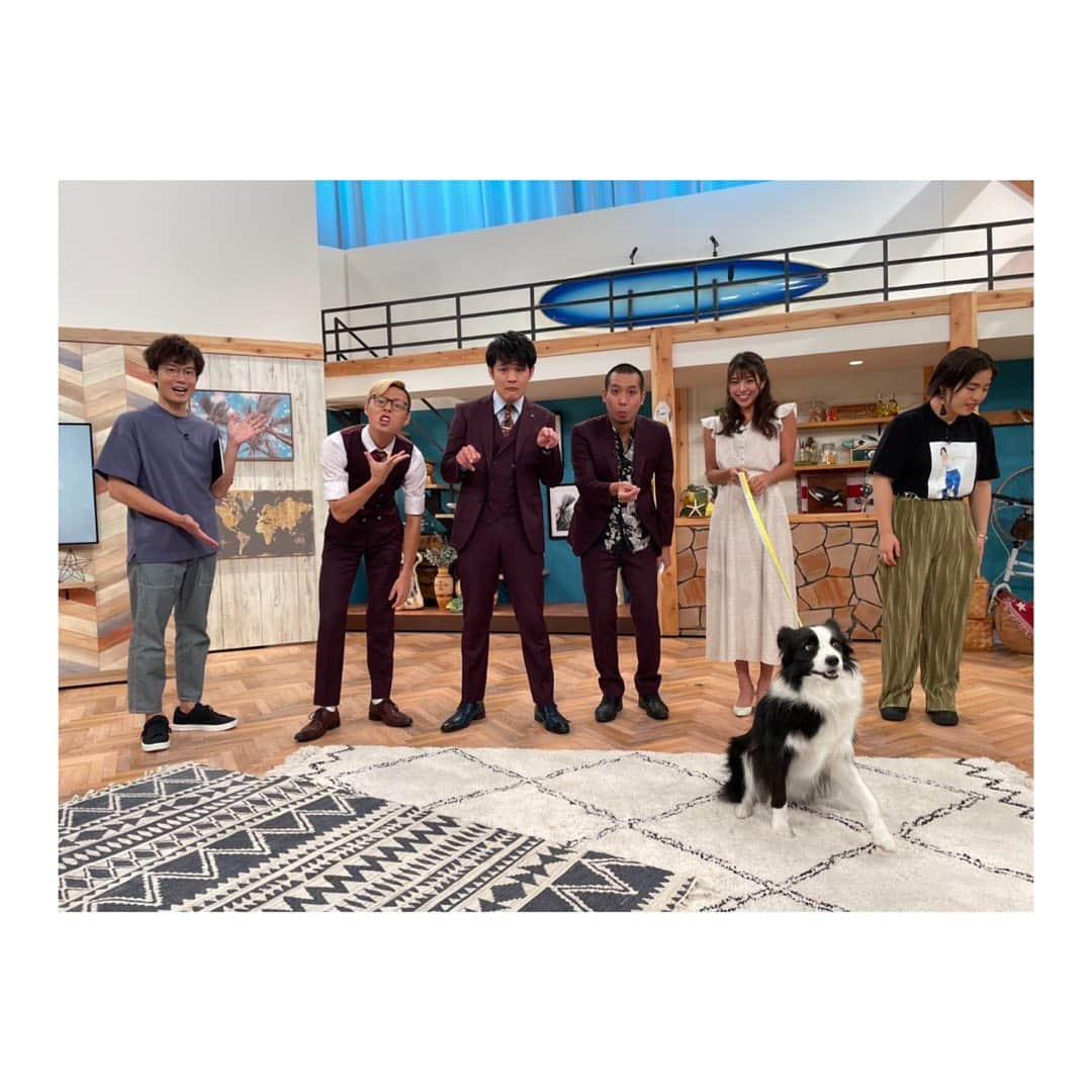 岡副麻希さんのインスタグラム写真 - (岡副麻希Instagram)「. 関西テレビ 【#2時45分からはスローでイージーなルーティンで】 木曜日にお邪魔しました😆❣️ @0245slow_easy_routine  ⁡ ⁡ ゆりやんさんともりおさん（川島アナ）の ほっこり阿吽の呼吸がハンモックみたいに居心地よく， 終始笑いっぱなしでした！ ⁡ テスにおやつをあげさせてもらったのですが、 CM中からちょうだいちょうだいがかわいすぎて🥺❣️ いとおしい〜！焦らしてごめんね！🐶 ⁡ 戦士さんの笑活ルーティンも笑わせていただきました😆 たのしい時間をありがとうございました！ ⁡ 本番直前のとても自由な写真を添えて🐶❣️ ⁡ ゆりやんさんのＴシャツは明日の単独ライブのものとのこと😍 とっても可愛かった〜🥺頑張ってください❣️ ⁡ 衣装 #celford  暑い日が続いてるので涼しげなセットアップを選びました🎐 ⁡ ⁡ #スロイジ#関西テレビ#関テレ #テス#ボーダーコリー #あっという間の一時間 ⁡ ⁡ ⁡ ⁡」8月12日 23時32分 - maki_okazoe_official