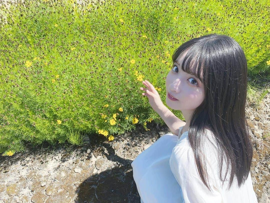 河瀬詩さんのインスタグラム写真 - (河瀬詩Instagram)「・  🌼♡   #お花畑  #夏コーデ   #ナナニジ  #河瀬詩」8月13日 12時17分 - kawase_uta