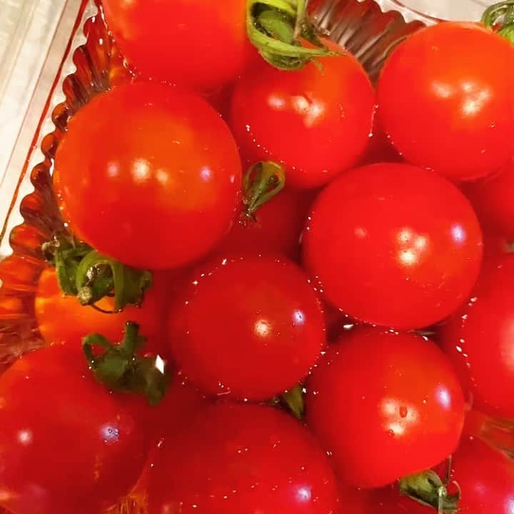 のインスタグラム：「#西山食堂 #冷蔵冷凍庫整理 #コーン活用日  茶色じゃないよ。 ギリ黄色💛😋💛  まとはマヨ。 珍しくオムレツ人気で喜べた。」