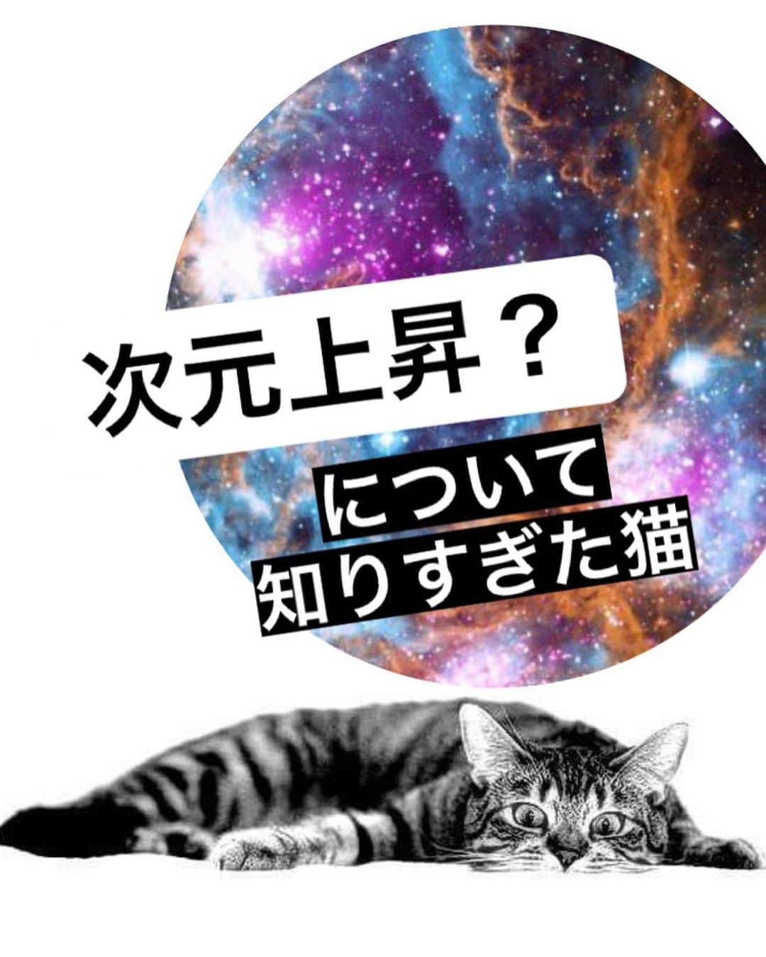 大石あやかのインスタグラム：「✩ ⋆ ✩ ⋆ ✩ ⋆ ✩  Hi,there👋💕アセンションのことと 地球にやってきている宇宙意識 （≒スターピープル）のこと。  シンプルだからこそ答えにくい😂  地球を選んだ目的、 御魂を磨いてその先の生き方  出身星は単なる属性にすぎなくて、 3次元で生きてる以上は 地に足着いた行動選択！だよー👾  『じゃあ次元て何ね？』ってなるんだけど、カンタンに言うと『その人が見えたり感じたりしている世界』のこと。 どこの視点にコンタクトしてるか、的な。（けど別に幽霊見えたり話せる人が偉いわけではない）  分かりやすくは『人生何回め？』みたいな例えと似てます。ふつう魂はステップアップしていくから。  この話は長くなるから、また質問とかあればどうぞ。  ♥️多くもらえたら、また質問ボックスかアンケートやります」