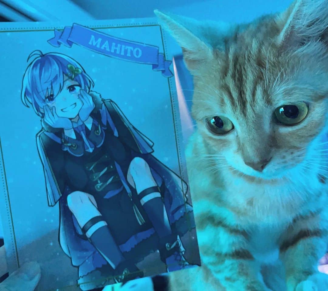 のインスタグラム
