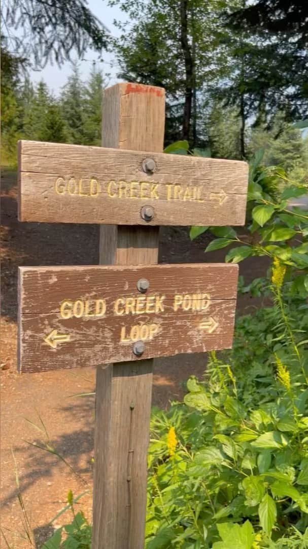 エリナ シルカのインスタグラム：「Hiking around the gorgeous Gold Creek Pond, WA」