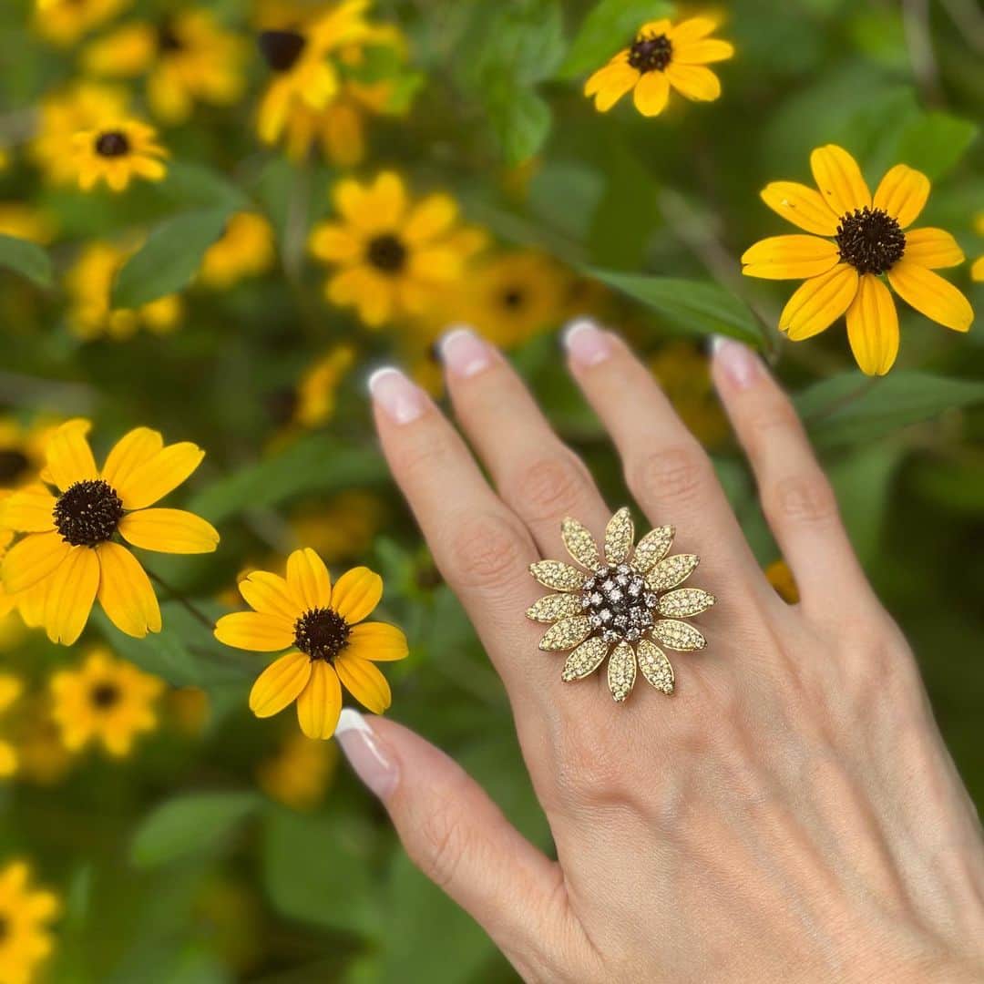 のインスタグラム：「Yellow flowers🌻🌼🏵」