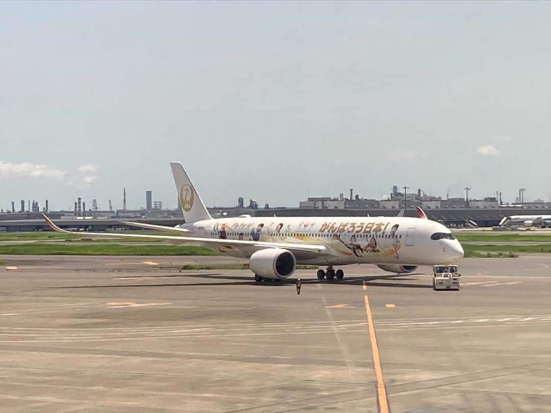 畑岡奈紗のインスタグラム：「My sponsor @japanairlines_jal has a special edition jet plane and I am painted on it!  I feel very honored to be on the design with the other athletes.   Thank you so much for always providing safe and comfortable flights.   日頃よりサポートして頂いている　@japanairlines_jal の特別塗装機「みんなのJAL2020ジェット」に私のペイントもして頂いています。 数多くいらっしゃるスポーツ選手と一緒にペイントして頂けて光栄です！ いつも安全で快適なフライトありがとうございます！  オリンピックの時も皆さんからの横断幕も頂きとても力になりました💪」