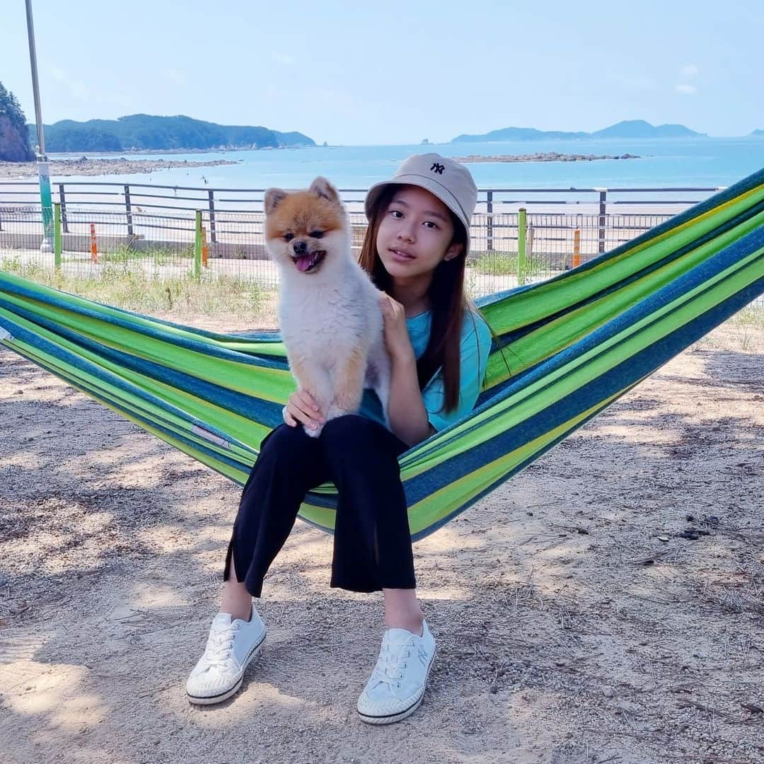 ハン・シウンのインスタグラム：「황시의 순대사랑~~♡♡ . . 순대랑 해먹놀이중~ 순대도 신나는지 얌전히 있네~ . 황시도 순대도 신났구먼유^^ . . #황시은#시은 #순대#반려동물 #해먹타는강쥐#태안바닷가풍경 #소나무숲#행복해#순대사랑 #순대러브#순대누나#황시」