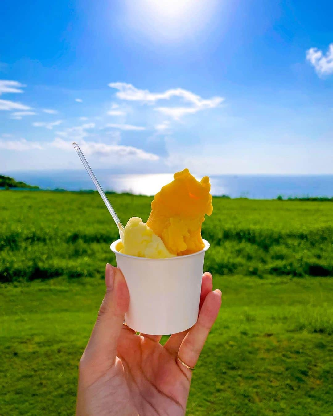 石井里奈さんのインスタグラム写真 - (石井里奈Instagram)「こんにちは☀️ . 今日も石垣島編✨🥰 撮影終わりにすぐご褒美ジェラートを食べにミルミル本舗へ🐮🌱 . 前回食べてとっても美味しかったのでリピート👏今回はシークワーサーとマンゴーを💕この2つほんとに美味しくておすすめです❤ . テラスが海と緑が広がっててとっても見晴らしがいいのもお気に入り！ しかも今回はお天気も良かったのでとっても気待良かったです❣️ . tops... @upperhights  skirt... @acnestudios  bag... @loewe  sandals... @zara  . 気持ちよくてワンピースの有名なシーンのポーズを真似っ子してみました✊💕(笑) . 午後も素敵な一日を💓 . #石垣島 #ishigakiisland #りなまるグルメ #ishigakijima #石垣島旅行 #石垣島グルメ #石垣島カフェ #石垣島スイーツ #ミルミル本舗 #ご当地スイーツ #acnestudios #upperhights #loewe #okinawa #沖縄旅行 #gelato #mango #マンゴー #ジェラート #アイス #アイスクリーム #icecream #グルメ旅 #ワンピース #onepiece #onepiecelover #ルフィ #デニムコーデ #アクネストゥディオズ #ご当地グルメ」8月14日 12時08分 - ri7tin1025