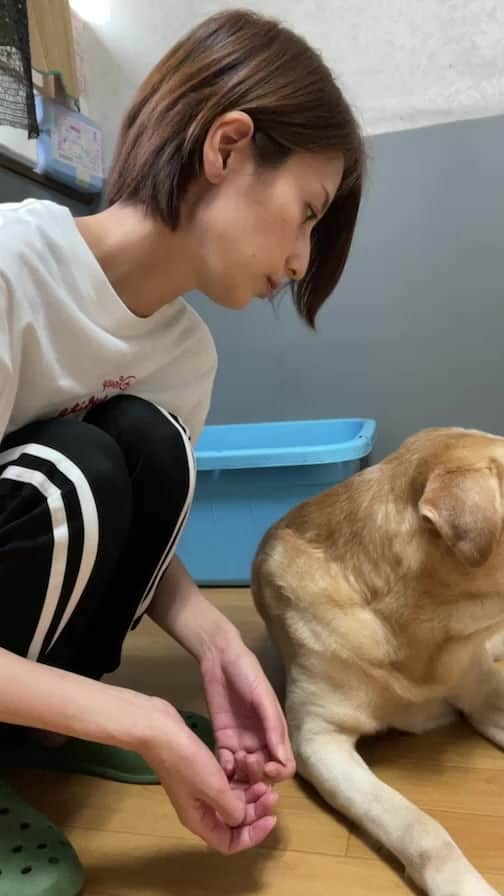 河村唯（うめ子）のインスタグラム：「🟣おリクのマッサージシーンを ただただ垂れ流してるだけの 生配信。  🟣残しておくほどでもない 生配信。  🟣生で見てた勇者もいるらしい。 素晴らしい。  🟣あと、まさかのいいね👍も 素晴らしい😂」