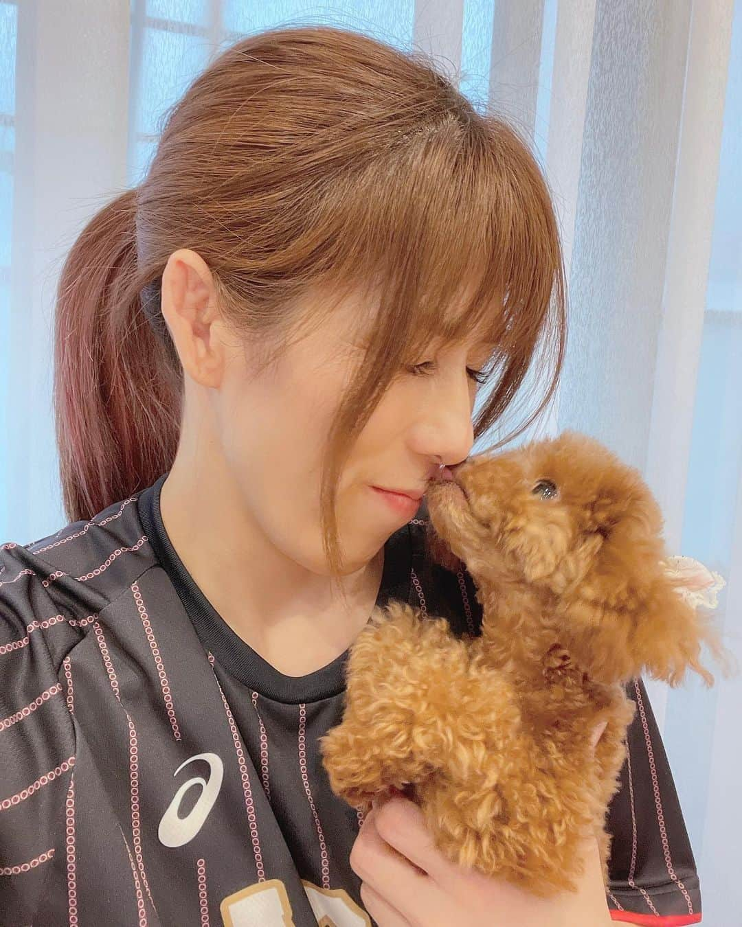 吉田沙保里さんのインスタグラム写真 - (吉田沙保里Instagram)「外を少しだけ歩けるようになったよー🐶 でも、最近ずっと雨が続いてるから外を歩けないね…💦 また、晴れたらお散歩行こうね😘💓  #リリー #トイプードル #女の子 #1歳 #1.6kg」8月14日 18時39分 - saori___yoshida