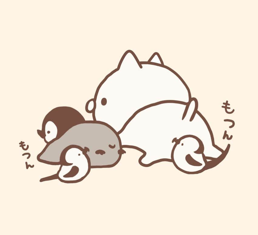 もじじのインスタグラム：「おちり  #ねこぺん日和#ねこぺん#ねこくん#ぺんちゃん」