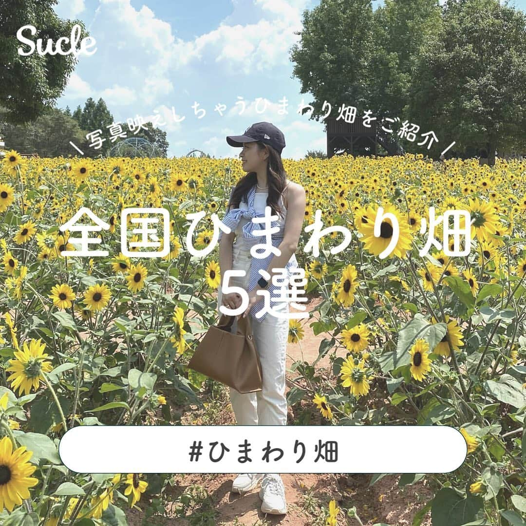 SUCLEのインスタグラム