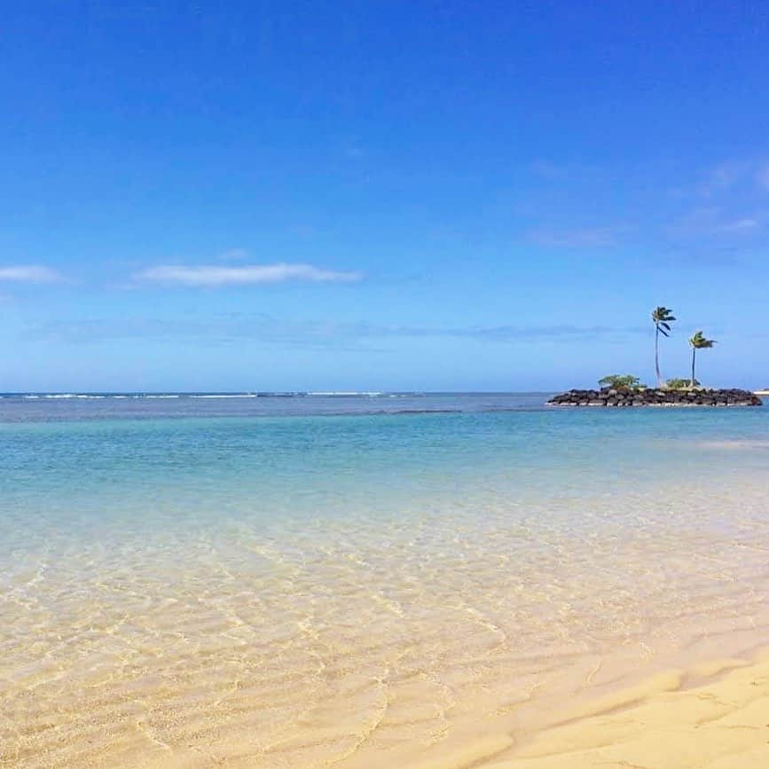 マキ・コニクソンさんのインスタグラム写真 - (マキ・コニクソンInstagram)「Kahala Hotelからおはよ！ 今朝はワンズのお散歩にカハラホテルに行って来ました！🐾🐾  ハワイは朝から青空で 気持ちが良い土曜日を迎えています！😊 お散歩しながら色々な事を考えられるから この朝のお散歩タイムは私にとって大切な 時間なのです。  今日はいよいよマキズボックスの最終日。あっという間の一か月でした。 明日から六本木ヒルズにあるハワイがなくなってしまうのは本当に寂しい。😢 でも沢山の方々に少しでもハワイを感じて 頂けてと〜っても嬉しかった！🌺🤙🏼  暑いのにわざわざ来てくれて有難う。🙏🏻 最後まで気を抜かずスタッフ一同頑張りますので今日一日どうぞ宜しくお願いします！🙇🏻‍♀️  今日もアロハッピーの精神で 思いやりを持って優しく過ごそうね！😄🤙🏼  #エアハワイ🌺  #ハワイのおすそ分け🤙🏼  #気持ちだけでもハワイ😊  #ハワイを日本に連れて行っちゃいます  #ハワイのマキさん #makikonikson  #thehawaiibymaki #終わりよければすべてよし💮」8月15日 6時21分 - makikonikson