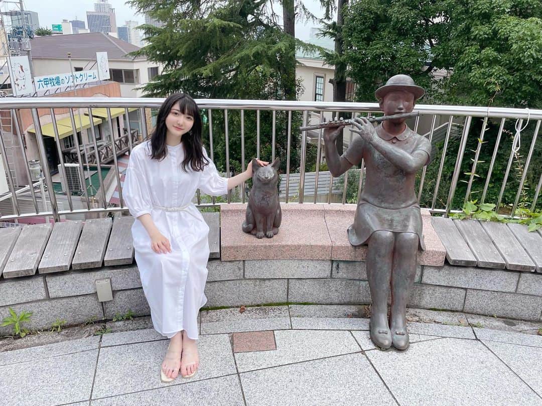 加藤咲希のインスタグラム：「猫撫でた」