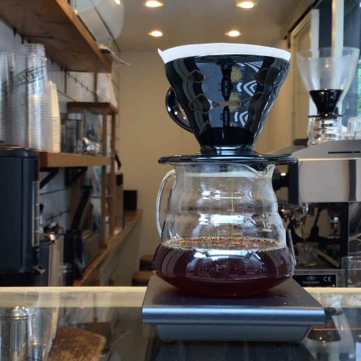 のインスタグラム：「・ Summer rainy day at Shibuya.☔️☁️ Please enjoy our coffee roasted by @akitocoffee @stylecoffee_kyoto @onibuscoffee ! We're open until 18:00.  肌寒い日が続いていますね。 ラテやドリップコーヒーはホットもアイスも出来ますので、お好みに合わせてお試しくださいね😊☕️ 今日も18:00まで営業しています！  #aboutlifecoffeebrewers #aboutlifecoffee #onibuscoffee #onibuscoffeenakameguro #akitocoffee #stylecoffee #specialtycoffee #tokyocoffee #tokyocafe #shibuya #tokyo」
