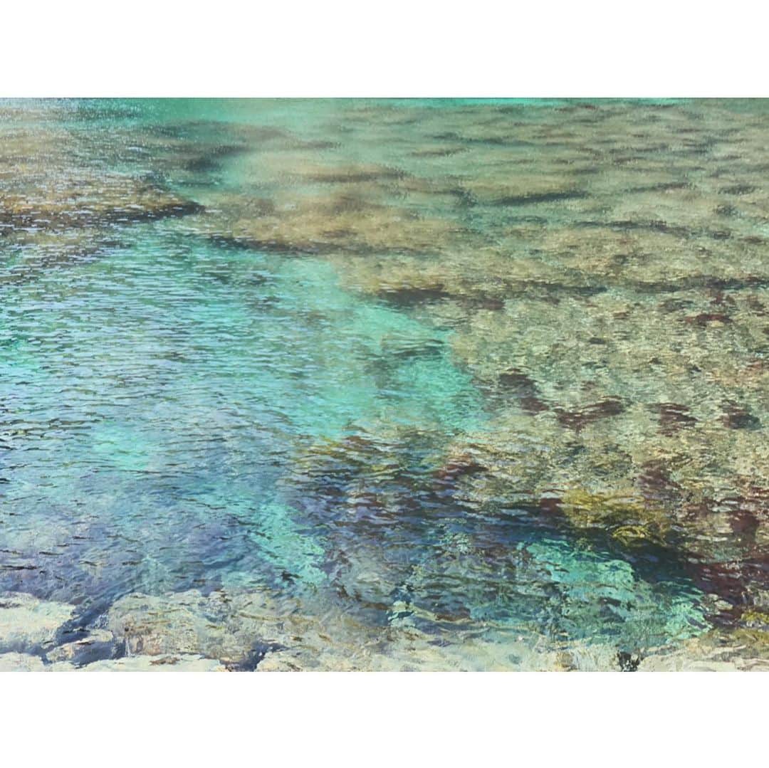 岡田万里奈のインスタグラム
