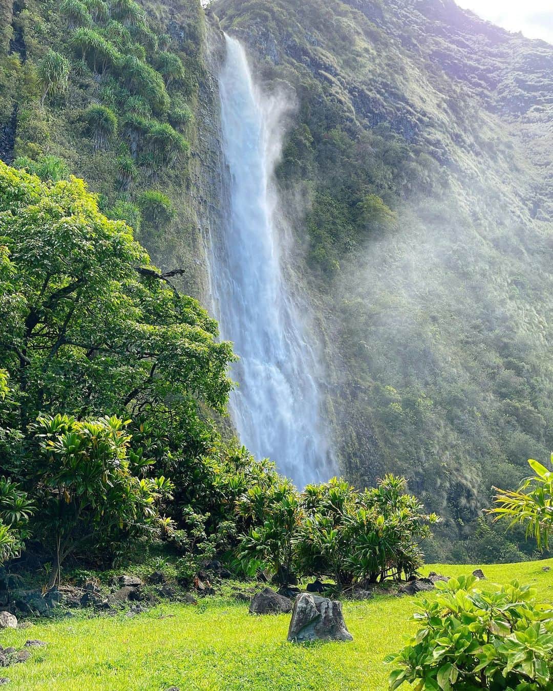 本多胡桃さんのインスタグラム写真 - (本多胡桃Instagram)「・ なつかしりーず🏝❤️  ハワイ島をヘリコプターでぐるり🚁✨ 途中に降り立ってみた滝も 窓から見えた景色も忘れられない🥺✨❤️  自然が本当に美しくて 素敵だったよ🥺❤️✨✨✨✨  また行きたいなあ🥰  #ハワイ島#ヘリコプター#キラウエア火山 #マウナケア#マウナロア#ヘリ周遊#ハワイ#ことたび#ことこーで#hawaii#helicopter#trip#hawaiiisland#lava#maunaloa#kilauea#maunakea」8月16日 23時20分 - kotohonda