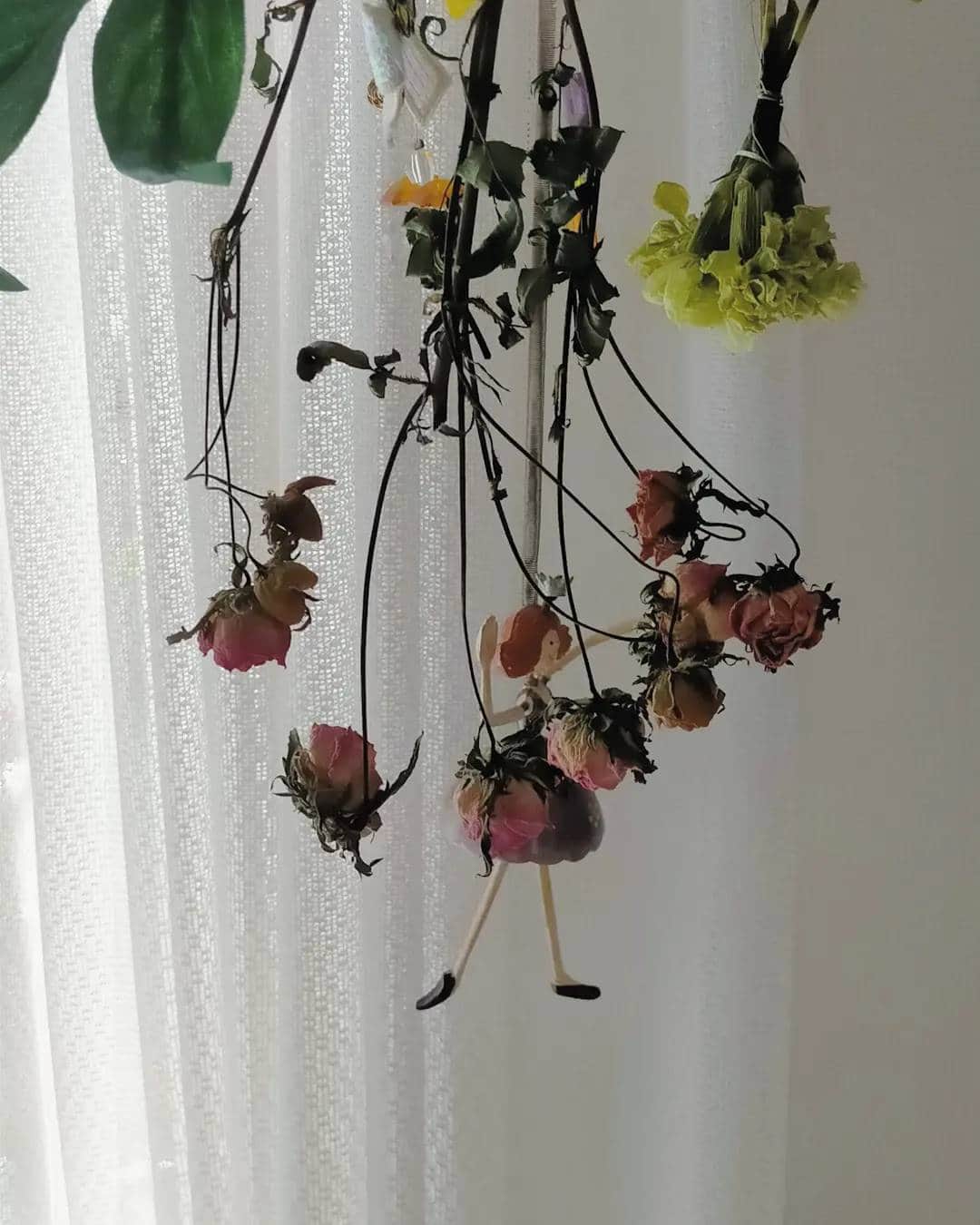 柴田淳さんのインスタグラム写真 - (柴田淳Instagram)「生花が好きなので、基本ドライフラワーは作ったりしないんだけどね🥰💐 終わってしまったお花達を集めて、 私のへなちょこドライフラワーコーナーへ😉💕 カーネーションはぐちゃぐちゃになるからとっても可愛いよね😘 #dryflower #greencarnation 一個前の投稿のお花は勿論まだ生きてます😍✨」8月16日 17時11分 - shibatajun_official