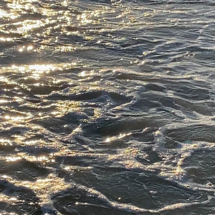 モンタナ・コックスのインスタグラム：「SOME MONDAY EMOCEAN」