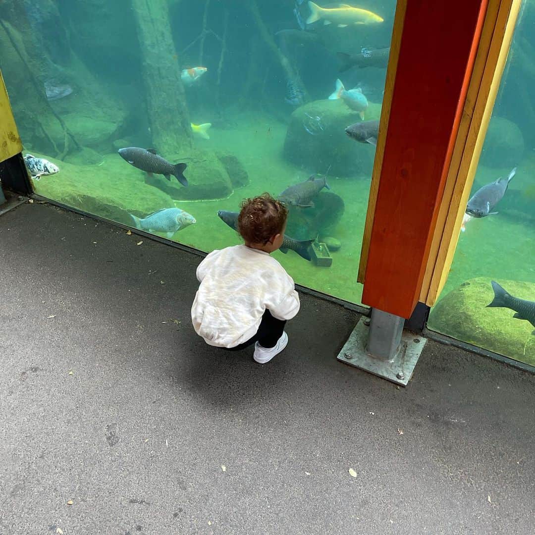 マット・フィリップスさんのインスタグラム写真 - (マット・フィリップスInstagram)「Thank u @paradisewildlifepark @limelightaccess had a great afternoon !」8月17日 1時20分 - phillips1303