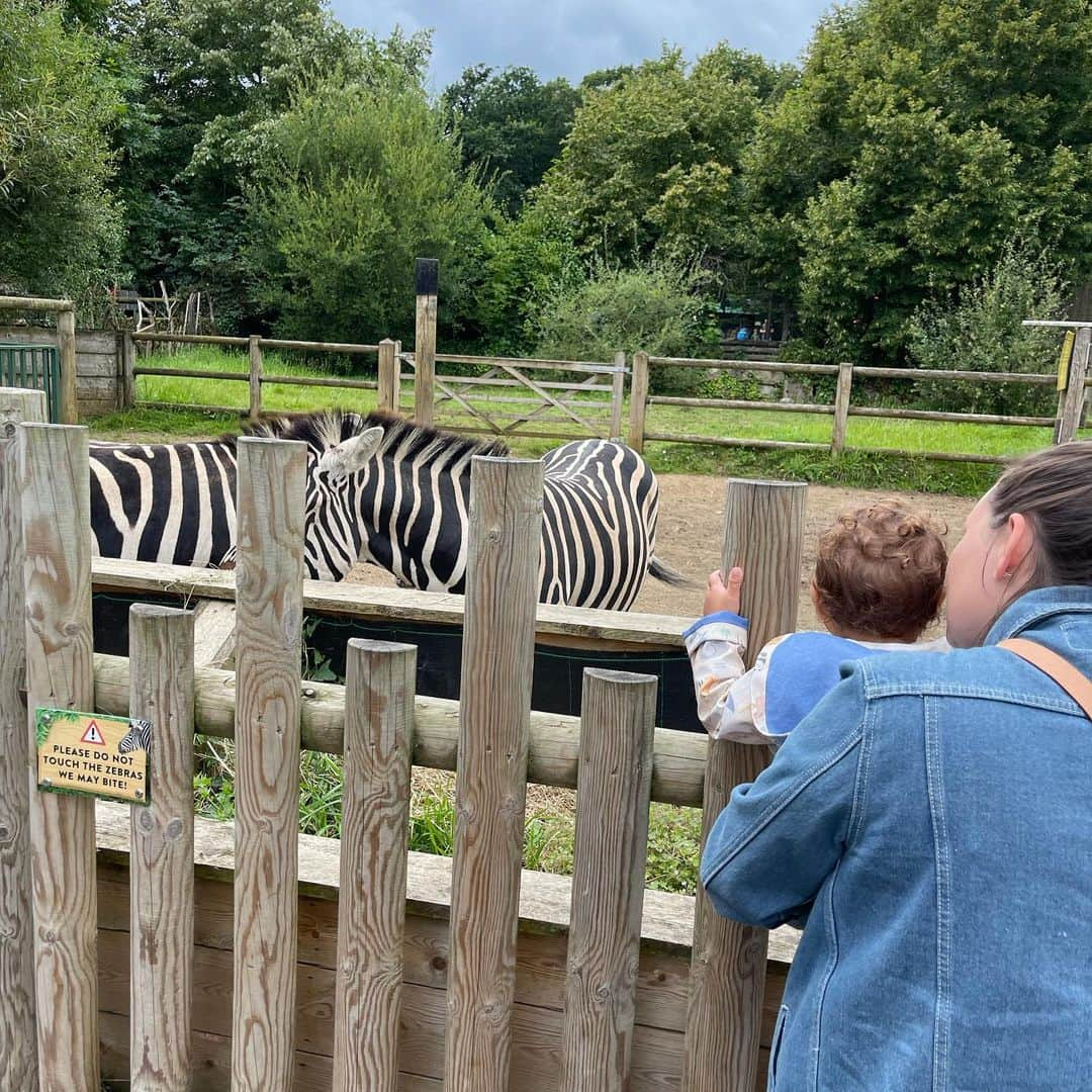 マット・フィリップスさんのインスタグラム写真 - (マット・フィリップスInstagram)「Thank u @paradisewildlifepark @limelightaccess had a great afternoon !」8月17日 1時20分 - phillips1303