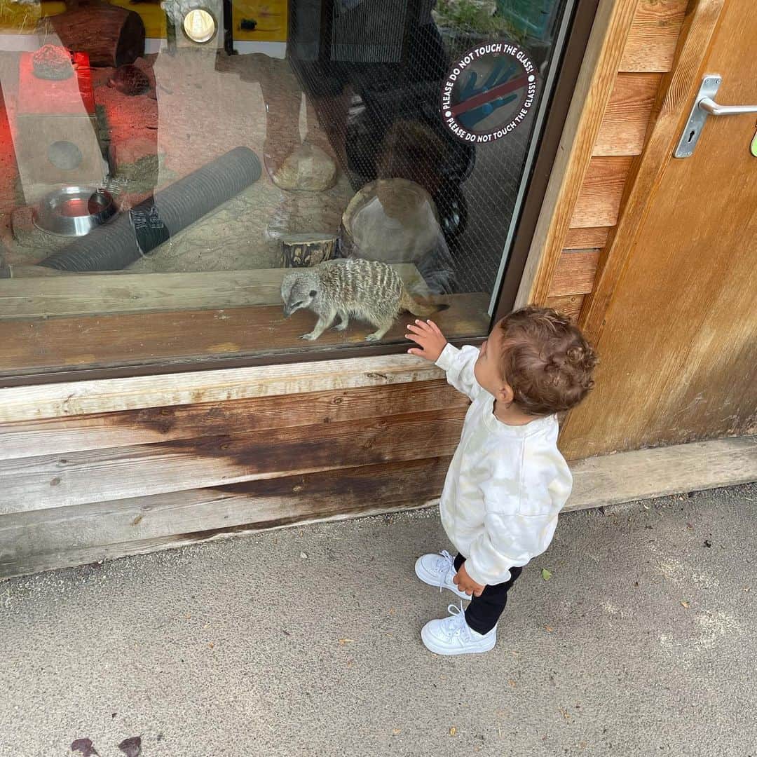 マット・フィリップスさんのインスタグラム写真 (マット・フィリップスInstagram)「Thank u