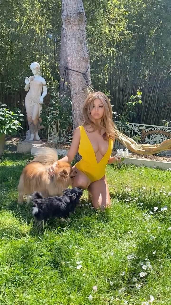 ザヒア・ドゥハールのインスタグラム：「🌼🌼🌼」