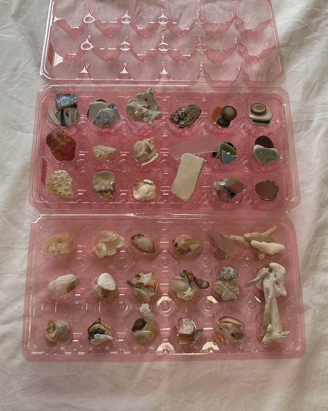 祝茉莉さんのインスタグラム写真 - (祝茉莉Instagram)「. my collection ❦,🍙🥚⚭🪐𓃰 . The stones and shells I have collected over the years are stored in egg cases.＾ . 永年海や川に行って集めた 貝や石や器の欠片 . ずっとケースを探していて、 先日スーパーで見つけた卵のパックが可愛くて、サイズもちょうど良く、これに収納した︎︎︎︎＾ .」8月17日 15時56分 - _shukumari_
