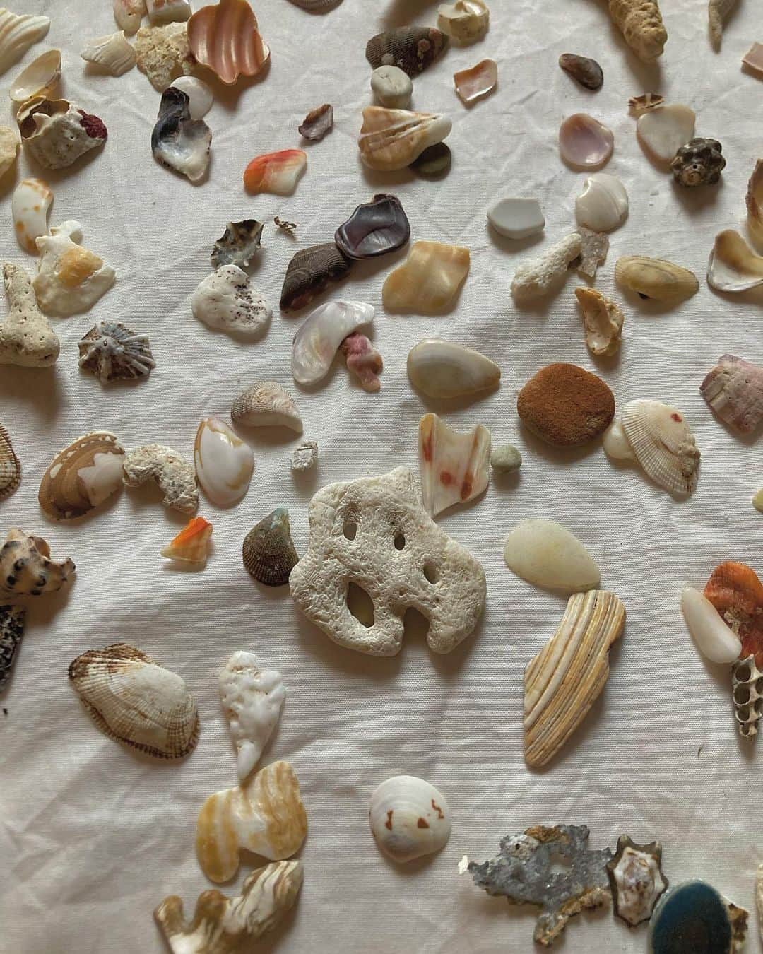 祝茉莉のインスタグラム：「. my collection ❦,🍙🥚⚭🪐𓃰 . The stones and shells I have collected over the years are stored in egg cases.＾ . 永年海や川に行って集めた 貝や石や器の欠片 . ずっとケースを探していて、 先日スーパーで見つけた卵のパックが可愛くて、サイズもちょうど良く、これに収納した︎︎︎︎＾ .」