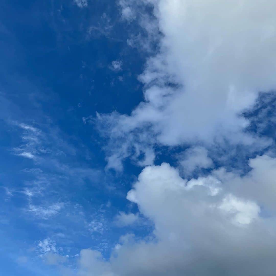 吉井明子さんのインスタグラム写真 - (吉井明子Instagram)「記録的な大雨となっている地域も含めて、各地で雨が続いています。  この先は降り続く雨だけでなく、蒸し暑さも増してきそうですので、体調管理にもどうぞお気をつけください。  東京では、午後久しぶりに青空を見ました。８月の青空が、こんなにありがたいものなんだと思いました。  今夜もどうぞよろしくお願いします。  #気象情報 #天気予報 #気象予報士 #気象キャスター #weatherforecaster #기상캐스터　#氣象主播 #吉井明子 #nhk #bs1 #bs4k #bsニュース4k」8月17日 17時04分 - akiko_yoshii_sunny_rain