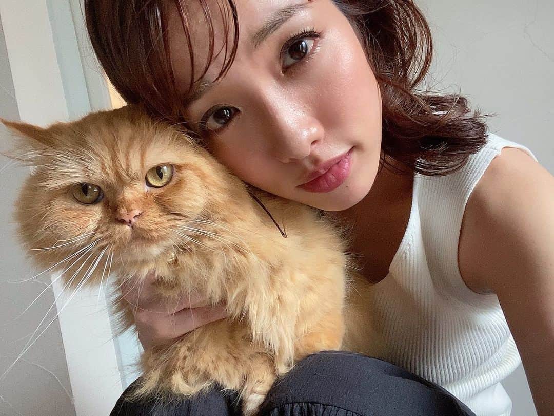 今野杏南さんのインスタグラム写真 - (今野杏南Instagram)「* まりもん🦁 ぼくちゃんかわいいね💓」8月17日 22時56分 - anna_konno0615
