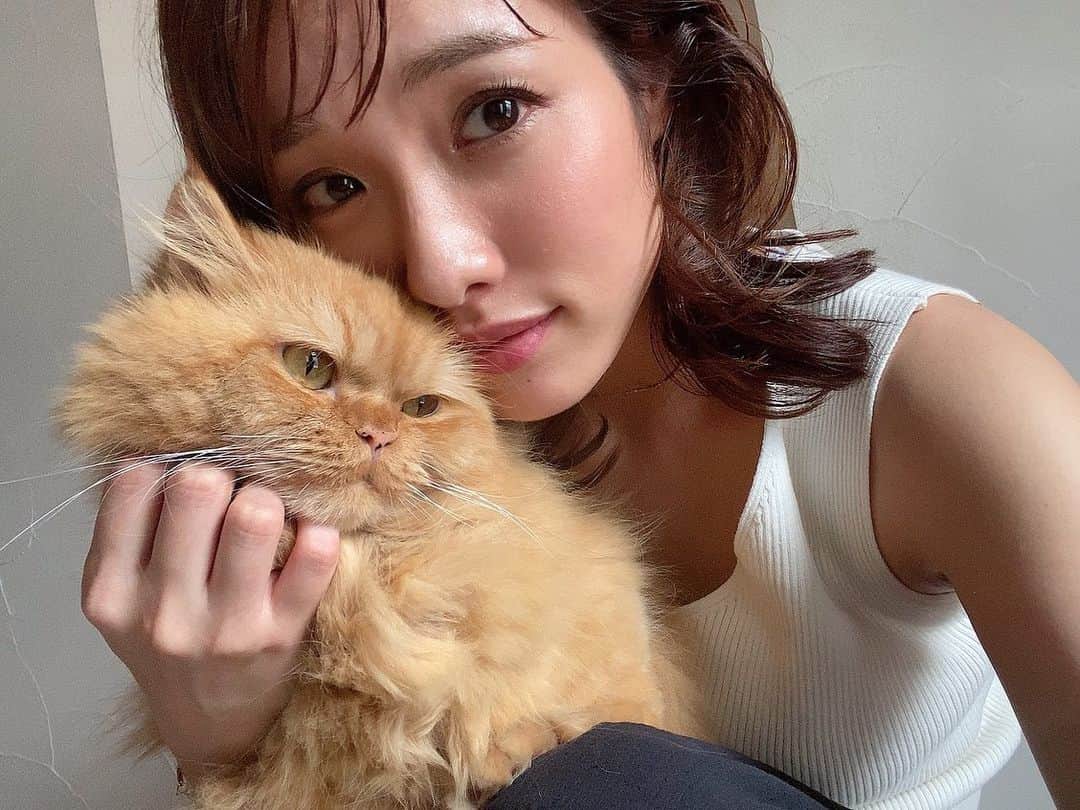 今野杏南さんのインスタグラム写真 - (今野杏南Instagram)「* まりもん🦁 ぼくちゃんかわいいね💓」8月17日 22時56分 - anna_konno0615
