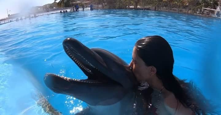 のインスタグラム：「SANAND💙… 💦🐬🙏🏻」