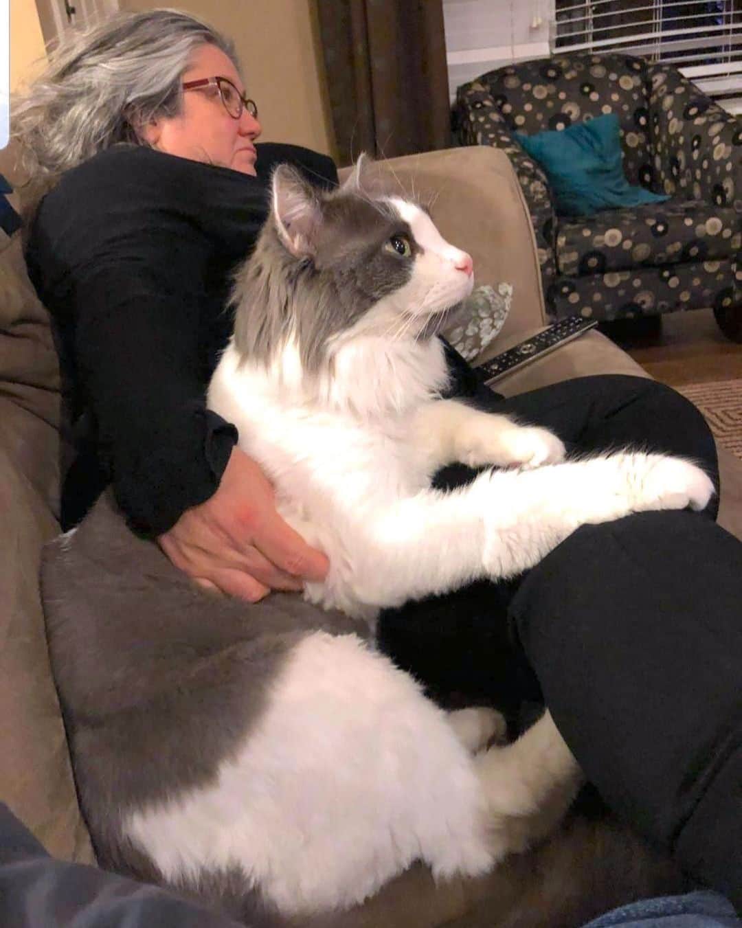 ブリトニー・スピアーズのインスタグラム：「As JT would say ... haters gonna say it’s fake !!!!! I MEAN ... wow I have no idea ... what do you guys think 💭 ???? I’ve always liked small kittens … although big cats are extremely smart they always sort of scared me 💕😻💕 !!!!!!」