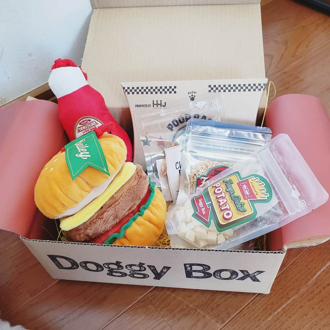 もえむさんのインスタグラム写真 - (もえむInstagram)「8月のdoggyboxはハンバーガーショップだよ🍔🍟 早速フリーズドライポテトを味見したもんちゃん。相当気に入った様子！ちょっと体重増えたので少しずつね🥺  #ハンバーガーはアゴ置きではありません #最後はかっこいい目線頂きました #DoggyBox  #ドギボ  #pr」8月18日 11時51分 - moem_n