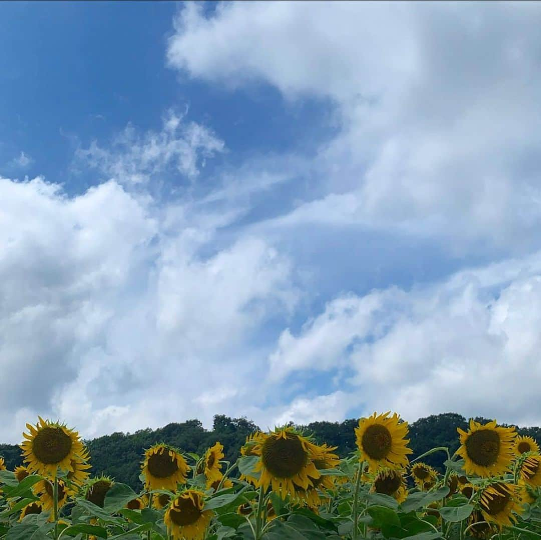 山田野絵のインスタグラム：「自分の感情や考えが変われば変わる程 しっかりとした自分という軸で、視野を広く生きたいと思う日々です🌱  #過去pic」