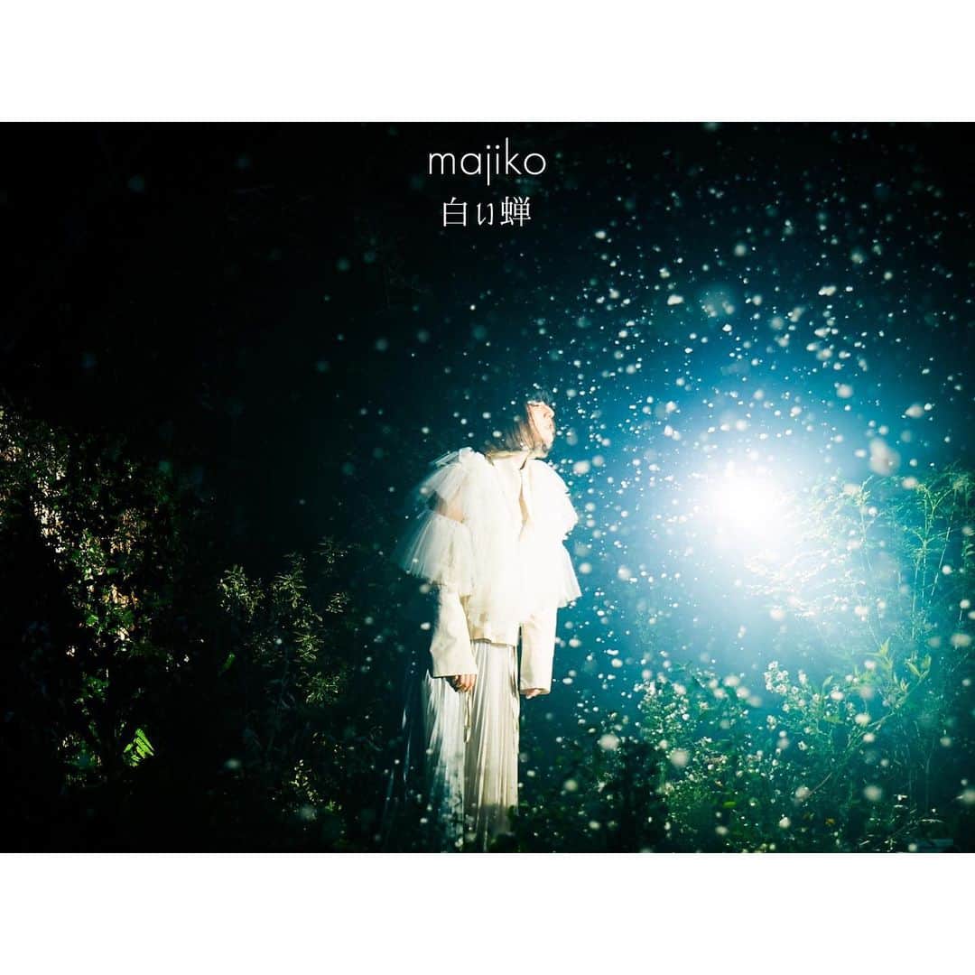 majikoのインスタグラム：「新曲「白い蝉」のMVが公開されました✨  夏になると虫のタイトルをつけがちかもしれない🤔 MVも綺麗で感無量です！ レコーディングメンバーにも大いなる感謝！！  「白い蝉」ぜひぜひ聞いてみてくだしあ𓆦𖠣ﾐ-ﾝ  costume (@nozomi_kenmochi )🤍 nail (@monikkuma0317 )🤍」